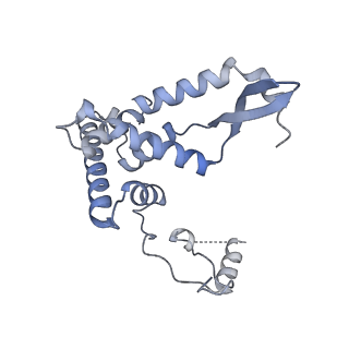 11394_6zsd_AF_v4-1
Human mitochondrial ribosome in complex with mRNA, P-site tRNA and E-site tRNA