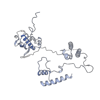 11394_6zsd_AG_v1-0
Human mitochondrial ribosome in complex with mRNA, P-site tRNA and E-site tRNA