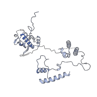 11394_6zsd_AG_v2-0
Human mitochondrial ribosome in complex with mRNA, P-site tRNA and E-site tRNA