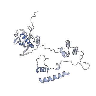 11394_6zsd_AG_v4-1
Human mitochondrial ribosome in complex with mRNA, P-site tRNA and E-site tRNA