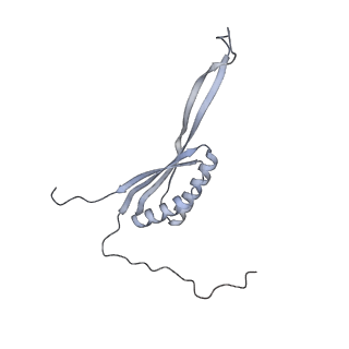 11394_6zsd_AH_v1-0
Human mitochondrial ribosome in complex with mRNA, P-site tRNA and E-site tRNA