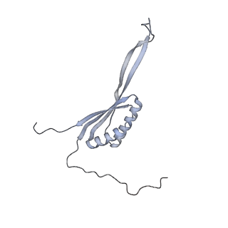 11394_6zsd_AH_v4-1
Human mitochondrial ribosome in complex with mRNA, P-site tRNA and E-site tRNA