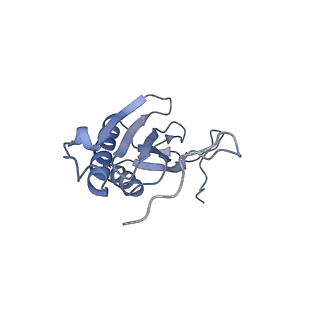 11394_6zsd_AI_v1-0
Human mitochondrial ribosome in complex with mRNA, P-site tRNA and E-site tRNA