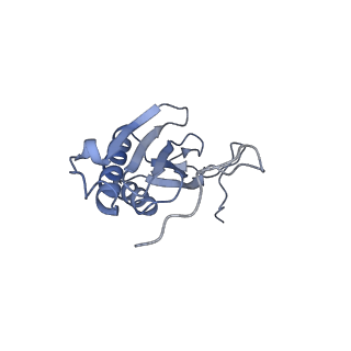 11394_6zsd_AI_v4-1
Human mitochondrial ribosome in complex with mRNA, P-site tRNA and E-site tRNA