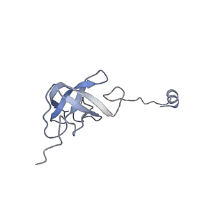 11394_6zsd_AJ_v4-1
Human mitochondrial ribosome in complex with mRNA, P-site tRNA and E-site tRNA