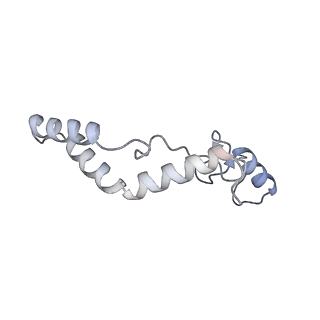 11394_6zsd_AK_v1-0
Human mitochondrial ribosome in complex with mRNA, P-site tRNA and E-site tRNA