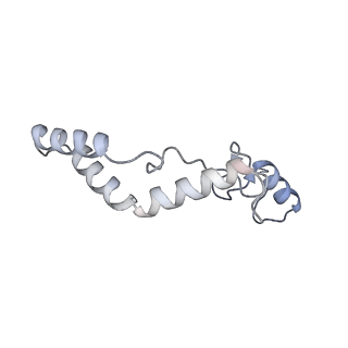 11394_6zsd_AK_v2-0
Human mitochondrial ribosome in complex with mRNA, P-site tRNA and E-site tRNA