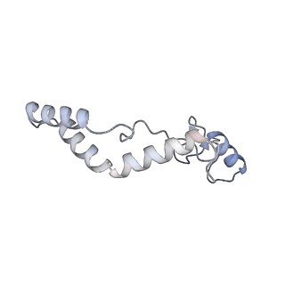 11394_6zsd_AK_v4-0
Human mitochondrial ribosome in complex with mRNA, P-site tRNA and E-site tRNA