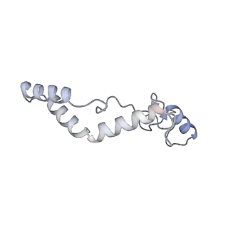 11394_6zsd_AK_v4-1
Human mitochondrial ribosome in complex with mRNA, P-site tRNA and E-site tRNA