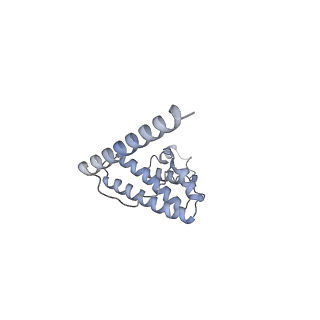 11394_6zsd_AL_v1-0
Human mitochondrial ribosome in complex with mRNA, P-site tRNA and E-site tRNA
