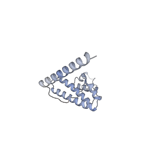 11394_6zsd_AL_v4-1
Human mitochondrial ribosome in complex with mRNA, P-site tRNA and E-site tRNA