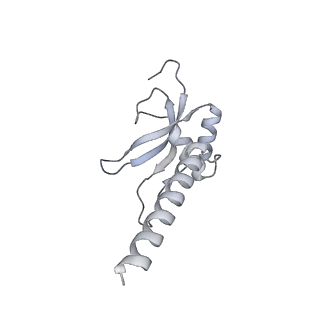 11394_6zsd_AM_v1-0
Human mitochondrial ribosome in complex with mRNA, P-site tRNA and E-site tRNA