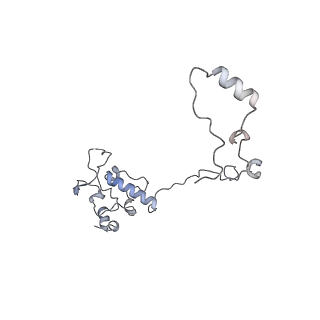 11394_6zsd_AO_v1-0
Human mitochondrial ribosome in complex with mRNA, P-site tRNA and E-site tRNA