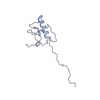 11394_6zsd_AP_v1-0
Human mitochondrial ribosome in complex with mRNA, P-site tRNA and E-site tRNA