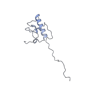 11394_6zsd_AP_v2-0
Human mitochondrial ribosome in complex with mRNA, P-site tRNA and E-site tRNA