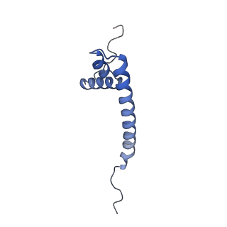 11394_6zsd_AQ_v1-0
Human mitochondrial ribosome in complex with mRNA, P-site tRNA and E-site tRNA
