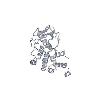 11394_6zsd_AR_v2-0
Human mitochondrial ribosome in complex with mRNA, P-site tRNA and E-site tRNA