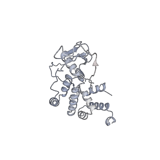 11394_6zsd_AR_v4-1
Human mitochondrial ribosome in complex with mRNA, P-site tRNA and E-site tRNA