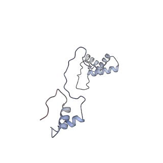 11394_6zsd_AS_v1-0
Human mitochondrial ribosome in complex with mRNA, P-site tRNA and E-site tRNA