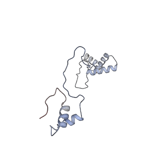 11394_6zsd_AS_v4-1
Human mitochondrial ribosome in complex with mRNA, P-site tRNA and E-site tRNA