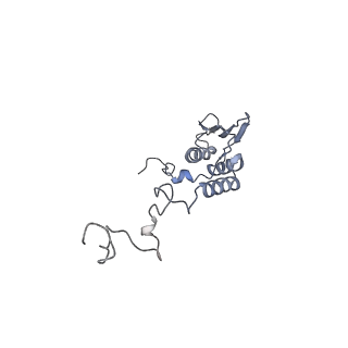 11394_6zsd_AT_v1-0
Human mitochondrial ribosome in complex with mRNA, P-site tRNA and E-site tRNA