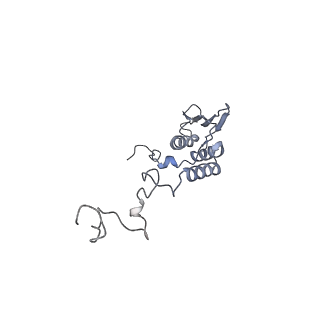 11394_6zsd_AT_v4-1
Human mitochondrial ribosome in complex with mRNA, P-site tRNA and E-site tRNA