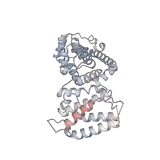 11394_6zsd_AV_v1-0
Human mitochondrial ribosome in complex with mRNA, P-site tRNA and E-site tRNA