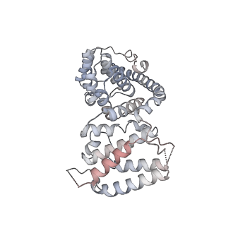 11394_6zsd_AV_v2-0
Human mitochondrial ribosome in complex with mRNA, P-site tRNA and E-site tRNA