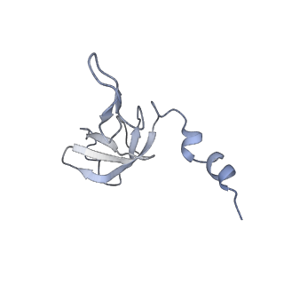 11394_6zsd_AW_v1-0
Human mitochondrial ribosome in complex with mRNA, P-site tRNA and E-site tRNA