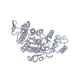 11394_6zsd_AX_v1-0
Human mitochondrial ribosome in complex with mRNA, P-site tRNA and E-site tRNA