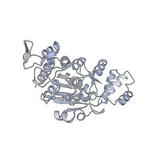 11394_6zsd_AX_v3-0
Human mitochondrial ribosome in complex with mRNA, P-site tRNA and E-site tRNA