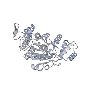 11394_6zsd_AX_v4-1
Human mitochondrial ribosome in complex with mRNA, P-site tRNA and E-site tRNA