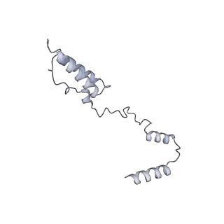 11394_6zsd_AY_v1-0
Human mitochondrial ribosome in complex with mRNA, P-site tRNA and E-site tRNA