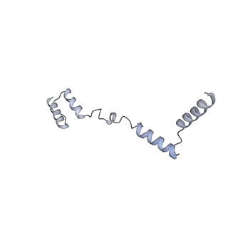 11394_6zsd_AZ_v1-0
Human mitochondrial ribosome in complex with mRNA, P-site tRNA and E-site tRNA