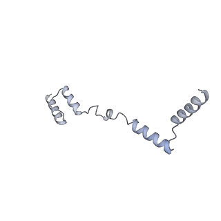 11394_6zsd_AZ_v4-1
Human mitochondrial ribosome in complex with mRNA, P-site tRNA and E-site tRNA