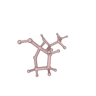 11394_6zsd_A_v4-1
Human mitochondrial ribosome in complex with mRNA, P-site tRNA and E-site tRNA