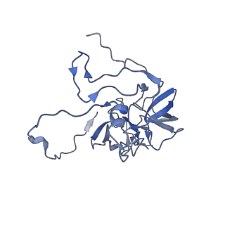 11394_6zsd_XD_v1-0
Human mitochondrial ribosome in complex with mRNA, P-site tRNA and E-site tRNA