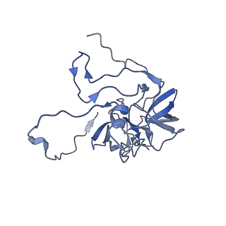 11394_6zsd_XD_v2-0
Human mitochondrial ribosome in complex with mRNA, P-site tRNA and E-site tRNA