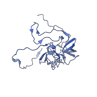 11394_6zsd_XD_v4-0
Human mitochondrial ribosome in complex with mRNA, P-site tRNA and E-site tRNA