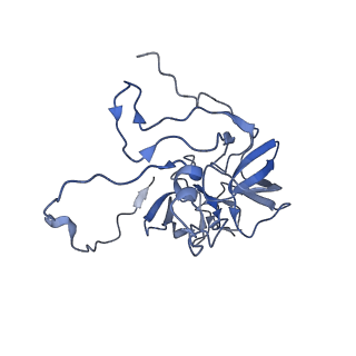 11394_6zsd_XD_v4-1
Human mitochondrial ribosome in complex with mRNA, P-site tRNA and E-site tRNA