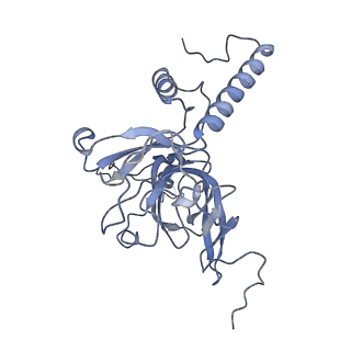 11394_6zsd_XE_v1-0
Human mitochondrial ribosome in complex with mRNA, P-site tRNA and E-site tRNA