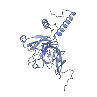 11394_6zsd_XE_v2-0
Human mitochondrial ribosome in complex with mRNA, P-site tRNA and E-site tRNA