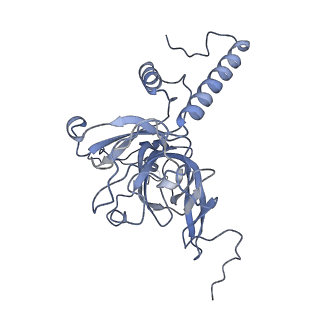 11394_6zsd_XE_v3-0
Human mitochondrial ribosome in complex with mRNA, P-site tRNA and E-site tRNA