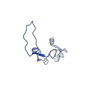 11394_6zsd_XH_v1-0
Human mitochondrial ribosome in complex with mRNA, P-site tRNA and E-site tRNA