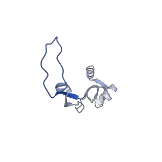 11394_6zsd_XH_v4-0
Human mitochondrial ribosome in complex with mRNA, P-site tRNA and E-site tRNA