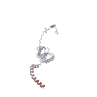 11394_6zsd_XI_v1-0
Human mitochondrial ribosome in complex with mRNA, P-site tRNA and E-site tRNA