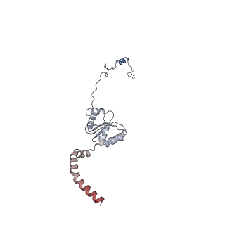 11394_6zsd_XI_v4-1
Human mitochondrial ribosome in complex with mRNA, P-site tRNA and E-site tRNA