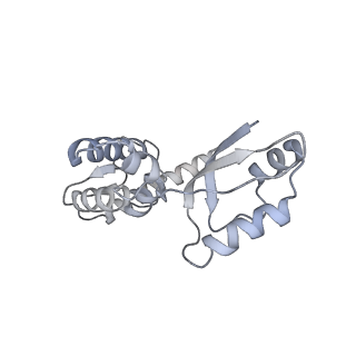 11394_6zsd_XJ_v1-0
Human mitochondrial ribosome in complex with mRNA, P-site tRNA and E-site tRNA