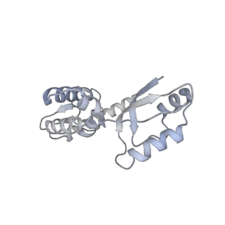 11394_6zsd_XJ_v4-1
Human mitochondrial ribosome in complex with mRNA, P-site tRNA and E-site tRNA