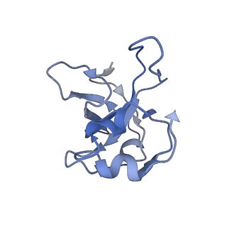 11394_6zsd_XL_v1-0
Human mitochondrial ribosome in complex with mRNA, P-site tRNA and E-site tRNA